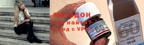 прущие грибы Белокуриха