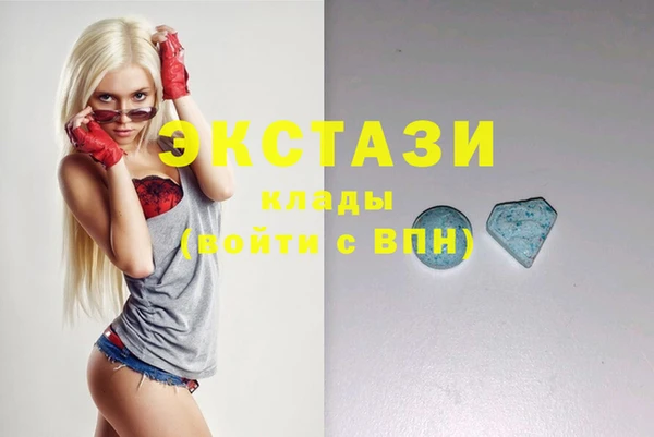 ECSTASY Богданович