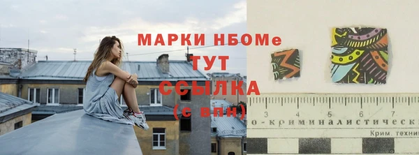 ECSTASY Богданович