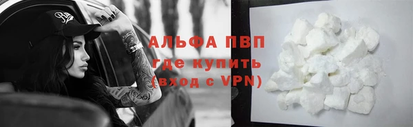 ECSTASY Богданович
