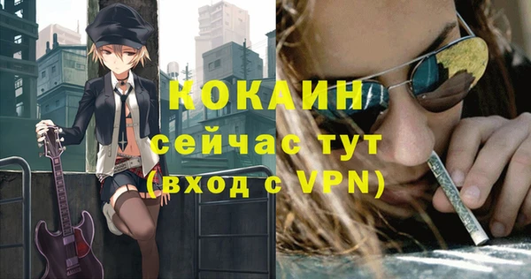 ECSTASY Богданович